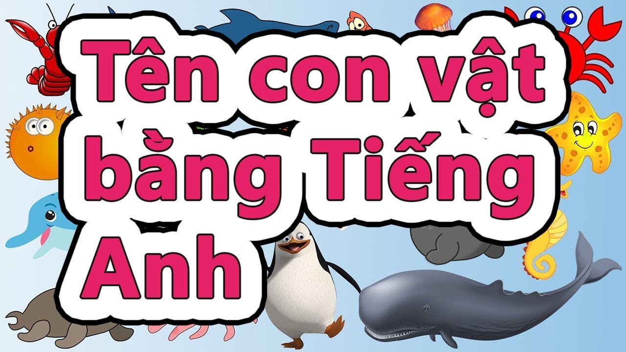 Tên các con vật bằng tiếng anh thông dụng nhất