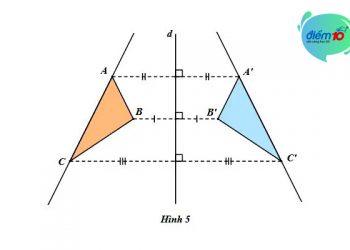 Dấu hiệu nhận biết trục đối xứng