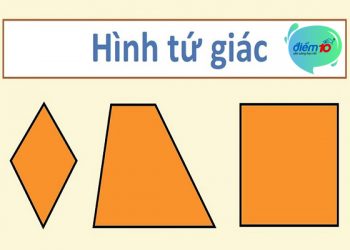 Hình tứ giác có bao nhiêu cạnh, định nghĩa và tính chất