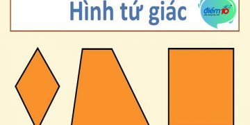 Hình tứ giác có bao nhiêu cạnh, định nghĩa và tính chất