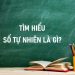 Tìm hiểu số tự nhiên là gì?