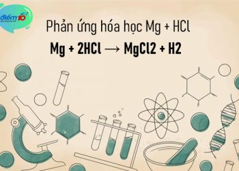 Phản ứng hóa học Mg + HCl