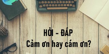 Cảm ơn hay cám ơn?