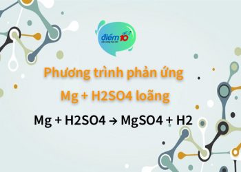 Mg + H2SO4 → MgSO4 + H2: Phản ứng Mg H2SO4 loãng