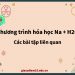 Phương trình hóa học Na + H2O