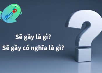  Sẽ gầy là gì? Sẽ gầy có nghĩa là gì?
