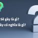 Sẽ gầy là gì? Sẽ gầy có nghĩa là gì?