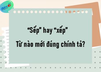 “Sếp” hay “xếp” từ nào mới đúng chính tả?