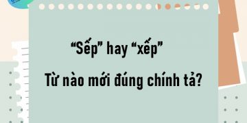 “Sếp” hay “xếp” từ nào mới đúng chính tả?