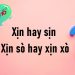 Xịn hay sịn? Xịn sò hay xịn xò?