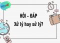 Tìm hiểu xử lý hay sử lý? 