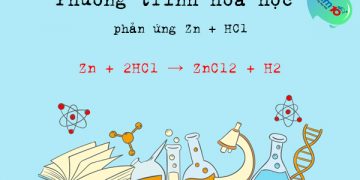 Phương trình hóa học phản ứng Zn + HCl