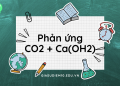 Phản ứng hóa học CO2 + Ca(OH)2