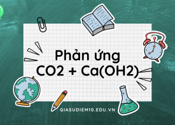 Phản ứng hóa học CO2 + Ca(OH)2