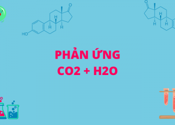 Phản ứng CO2 + H2O
