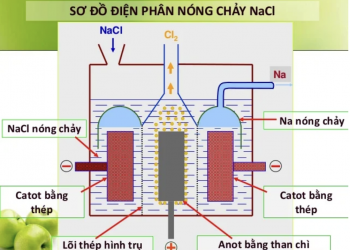 Điện phân natri clorua
