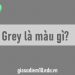 Grey là màu gì? Grey là màu gì? 
