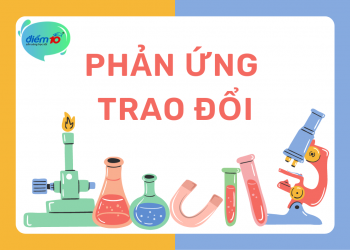Phản ứng trao đổi là gì?