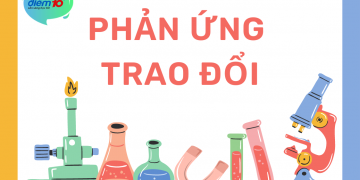 Phản ứng trao đổi là gì?