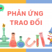 Phản ứng trao đổi là gì?
