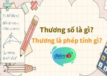 Thương số là gì?