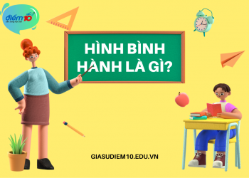 Tìm hiểu về hình bình hành