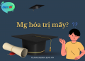 Mg hóa trị mấy?