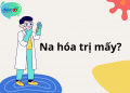 Na hóa trị mấy?