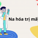 Na hóa trị mấy?