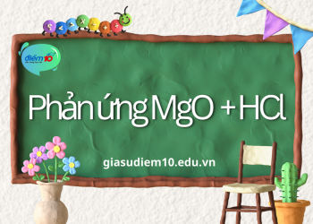 Phản ứng MgO + HCl