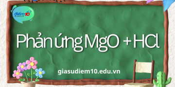 Phản ứng MgO + HCl