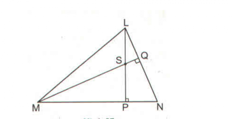 Tam giác MNL