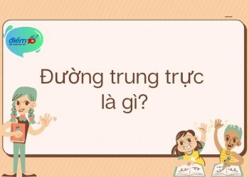 Đường trung trực là gì?