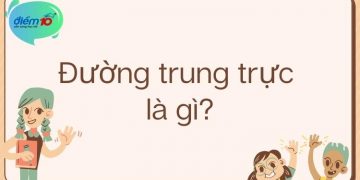Đường trung trực là gì?