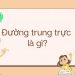 Đường trung trực là gì?