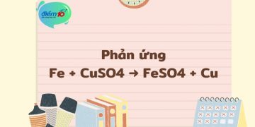 Phản ứng Fe + CuSO4