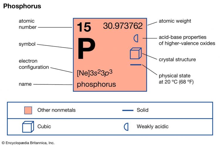 Photpho có hóa trị III và V, số hiệu nguyên tử 15