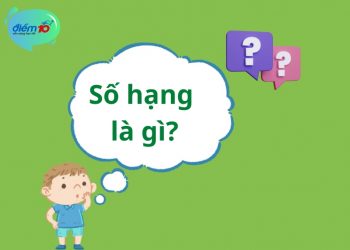 Số hạng là gì?