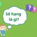 Số hạng là gì?