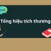 Tổng hiệu tích thương