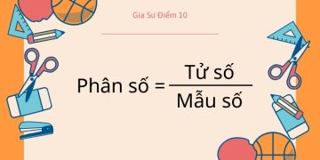 Tử số và mẫu số