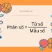 Tử số và mẫu số