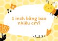 một inch bằng bao nhiêu cm?
