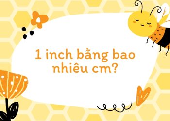 một inch bằng bao nhiêu cm?